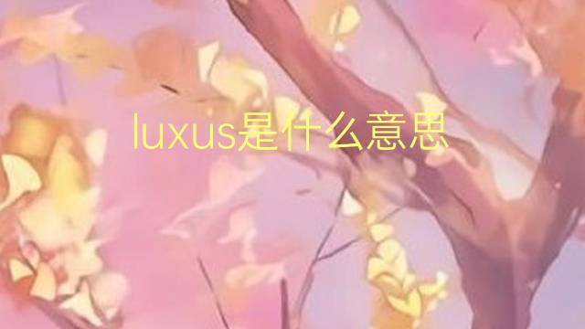 luxus是什么意思 luxus的翻译、读音、例句、中文解释