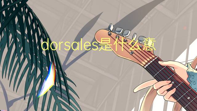 dorsales是什么意思 dorsales的翻译、读音、例句、中文解释