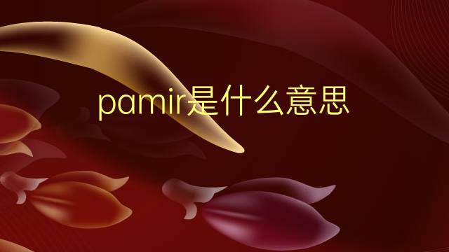 pamir是什么意思 pamir的翻译、读音、例句、中文解释