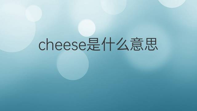 cheese是什么意思 cheese的翻译、读音、例句、中文解释