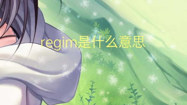 regim是什么意思 regim的翻译、读音、例句、中文解释