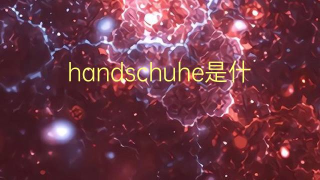 handschuhe是什么意思 handschuhe的翻译、读音、例句、中文解释