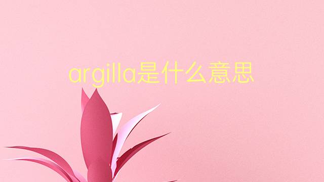 argilla是什么意思 argilla的翻译、读音、例句、中文解释