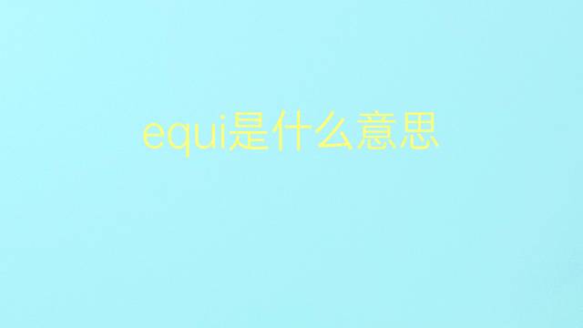 equi是什么意思 equi的翻译、读音、例句、中文解释