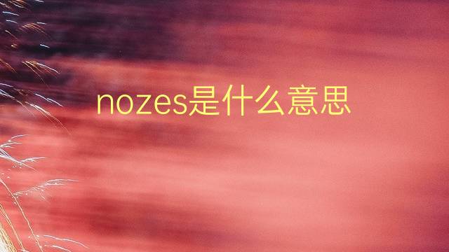 nozes是什么意思 nozes的翻译、读音、例句、中文解释