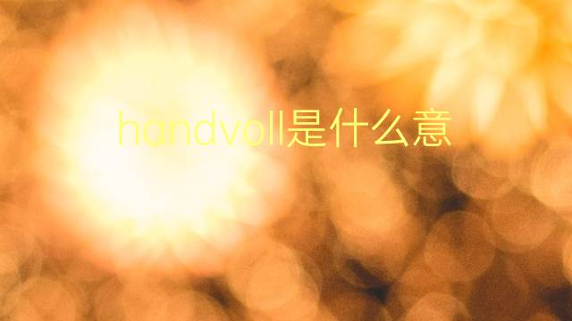 handvoll是什么意思 handvoll的翻译、读音、例句、中文解释