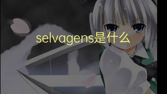 selvagens是什么意思 selvagens的翻译、读音、例句、中文解释