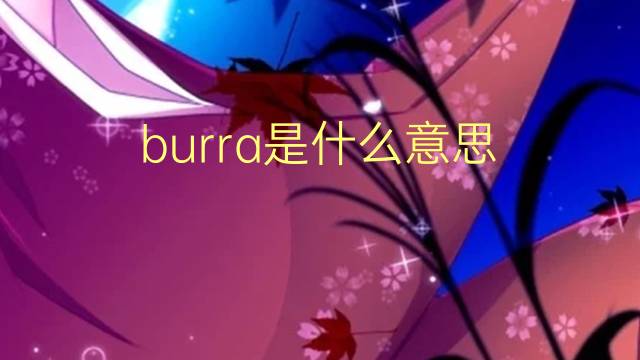 burra是什么意思 burra的翻译、读音、例句、中文解释