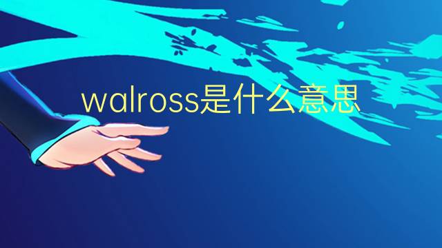 walross是什么意思 walross的翻译、读音、例句、中文解释