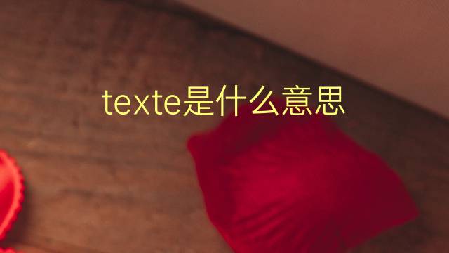 texte是什么意思 texte的翻译、读音、例句、中文解释