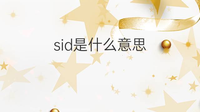 sid是什么意思 sid的翻译、读音、例句、中文解释