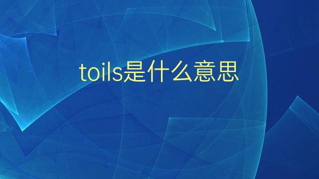 toils是什么意思 toils的翻译、读音、例句、中文解释