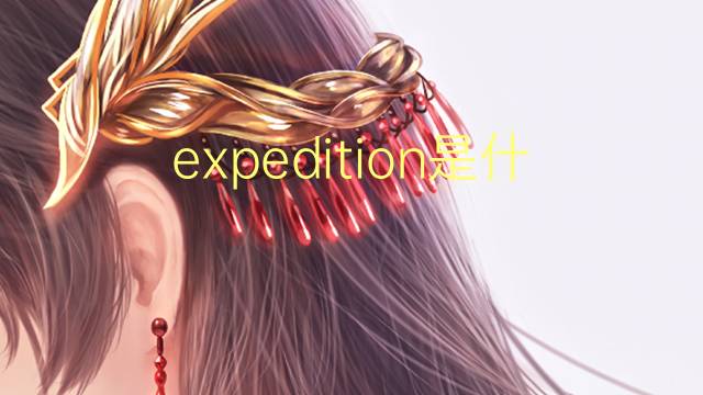 expedition是什么意思 expedition的翻译、读音、例句、中文解释