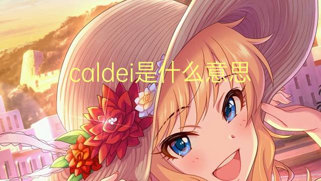 caldei是什么意思 caldei的翻译、读音、例句、中文解释