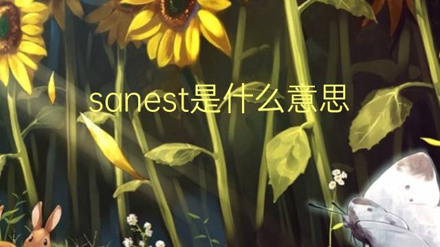 sanest是什么意思 sanest的翻译、读音、例句、中文解释