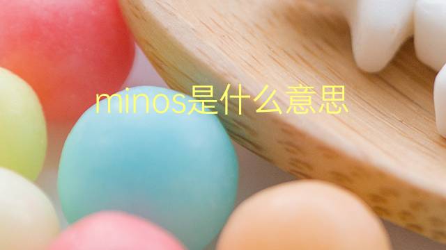 minos是什么意思 minos的翻译、读音、例句、中文解释