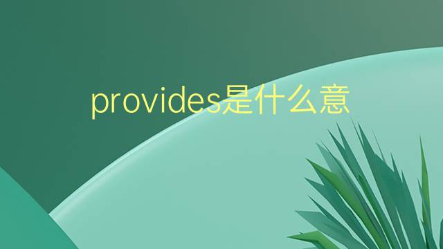 provides是什么意思 provides的翻译、读音、例句、中文解释