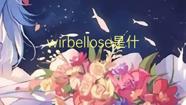 wirbellose是什么意思 wirbellose的翻译、读音、例句、中文解释