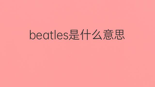 beatles是什么意思 beatles的翻译、读音、例句、中文解释