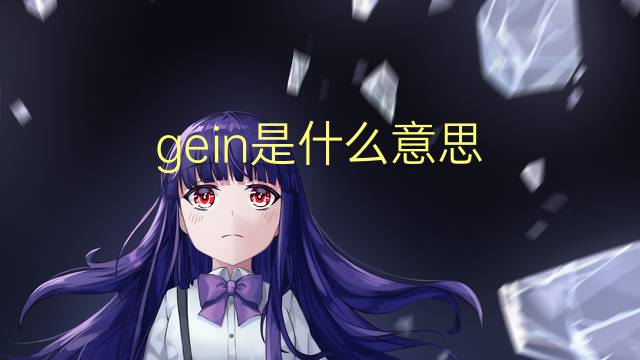 gein是什么意思 gein的翻译、读音、例句、中文解释