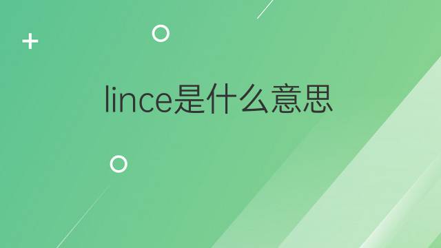 lince是什么意思 lince的翻译、读音、例句、中文解释