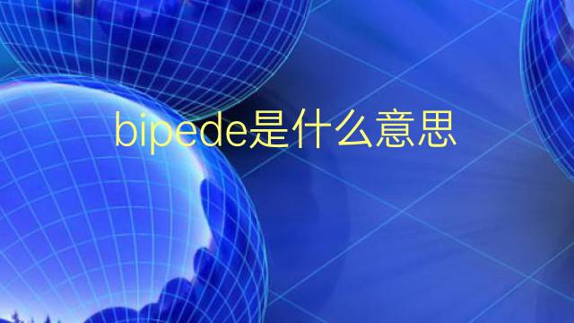 bipede是什么意思 bipede的翻译、读音、例句、中文解释