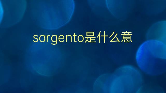 sargento是什么意思 sargento的翻译、读音、例句、中文解释