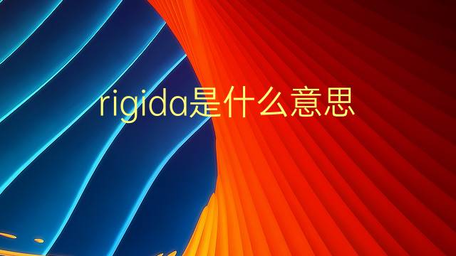 rigida是什么意思 rigida的翻译、读音、例句、中文解释