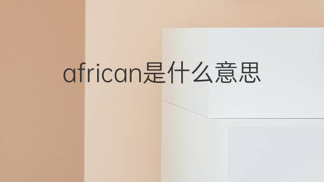 african是什么意思 african的翻译、读音、例句、中文解释