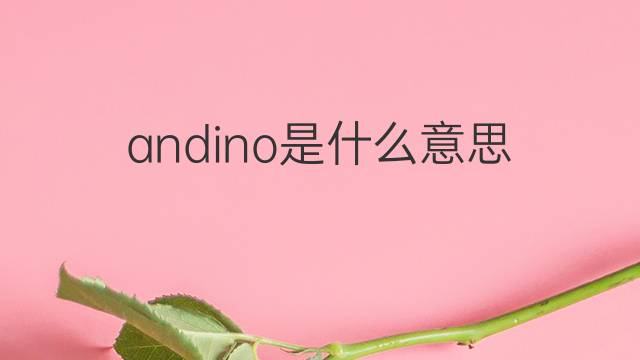 andino是什么意思 andino的翻译、读音、例句、中文解释