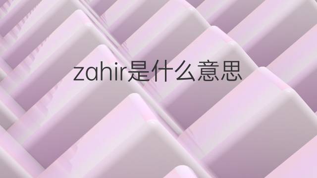 zahir是什么意思 zahir的翻译、读音、例句、中文解释