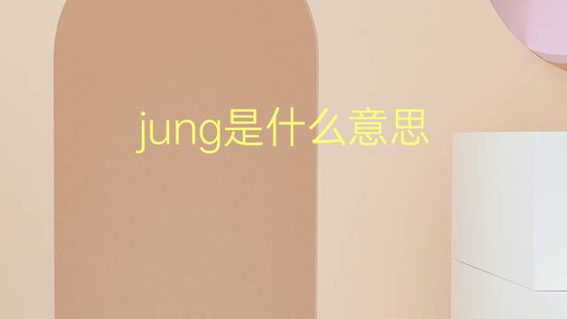 jung是什么意思 jung的翻译、读音、例句、中文解释