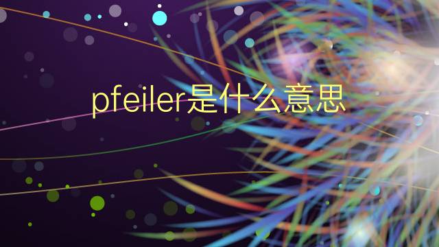 pfeiler是什么意思 pfeiler的翻译、读音、例句、中文解释