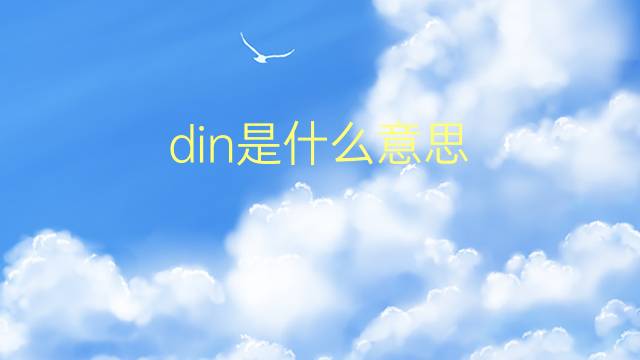 din是什么意思 din的翻译、读音、例句、中文解释