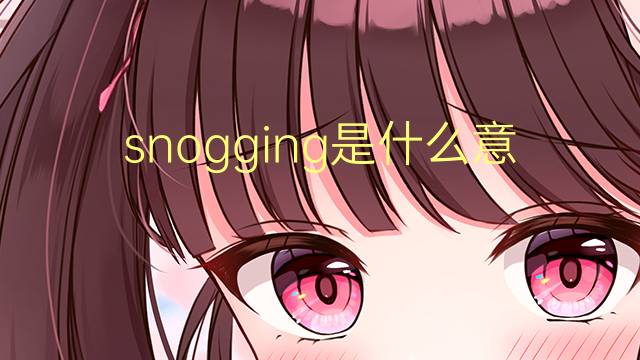 snogging是什么意思 snogging的翻译、读音、例句、中文解释