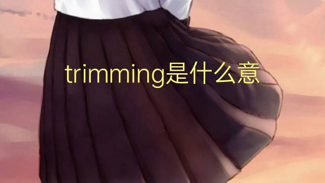 trimming是什么意思 trimming的翻译、读音、例句、中文解释