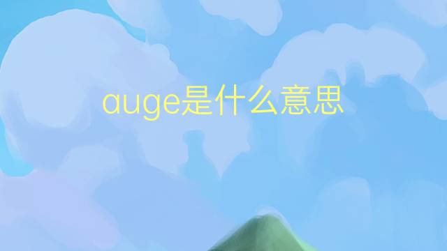 auge是什么意思 auge的翻译、读音、例句、中文解释