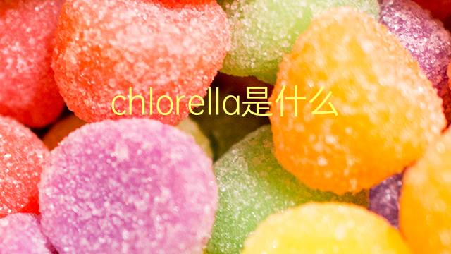 chlorella是什么意思 chlorella的翻译、读音、例句、中文解释