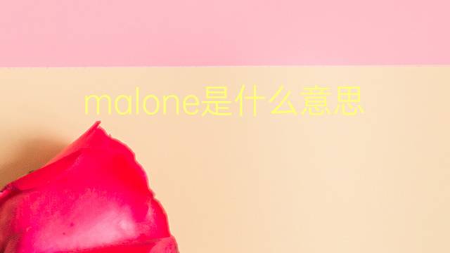 malone是什么意思 malone的翻译、读音、例句、中文解释