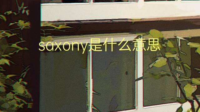 saxony是什么意思 saxony的翻译、读音、例句、中文解释