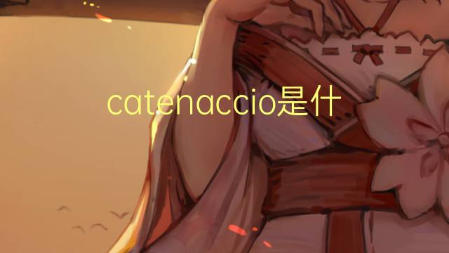 catenaccio是什么意思 catenaccio的翻译、读音、例句、中文解释