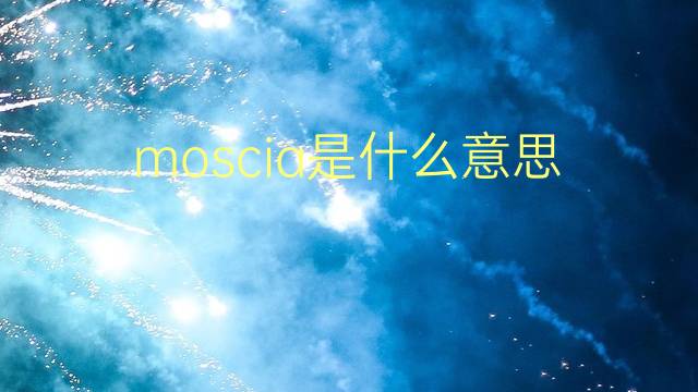 moscia是什么意思 moscia的翻译、读音、例句、中文解释