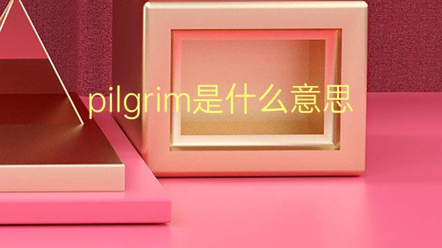 pilgrim是什么意思 pilgrim的翻译、读音、例句、中文解释