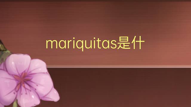 mariquitas是什么意思 mariquitas的翻译、读音、例句、中文解释