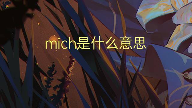 mich是什么意思 mich的翻译、读音、例句、中文解释