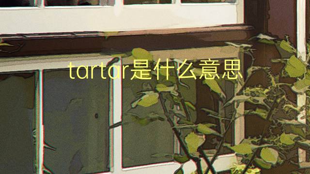 tartar是什么意思 tartar的翻译、读音、例句、中文解释