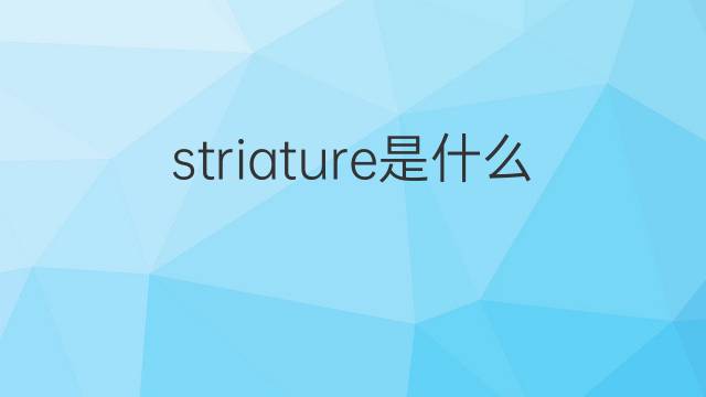 striature是什么意思 striature的翻译、读音、例句、中文解释