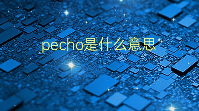 pecho是什么意思 pecho的翻译、读音、例句、中文解释