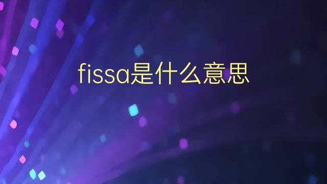 fissa是什么意思 fissa的翻译、读音、例句、中文解释