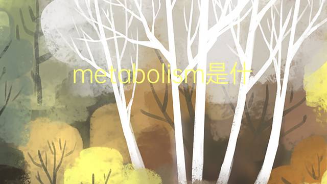 metabolism是什么意思 metabolism的翻译、读音、例句、中文解释